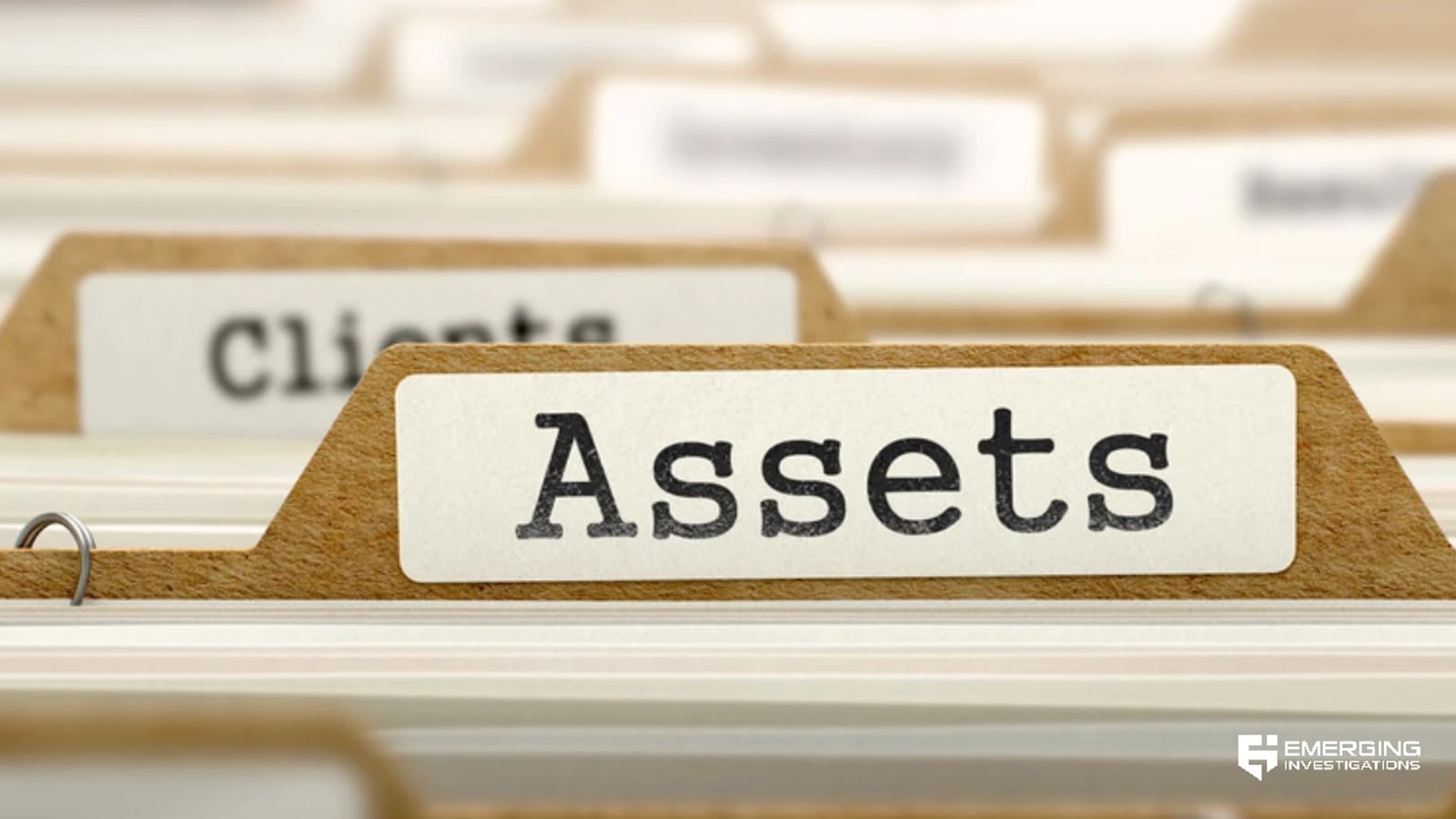 Asset & Bank Investigations — Florida private investigation context