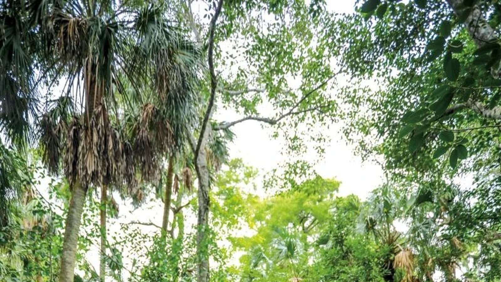 Private Investigator in Arcadia, Florida — Emerging Investigations