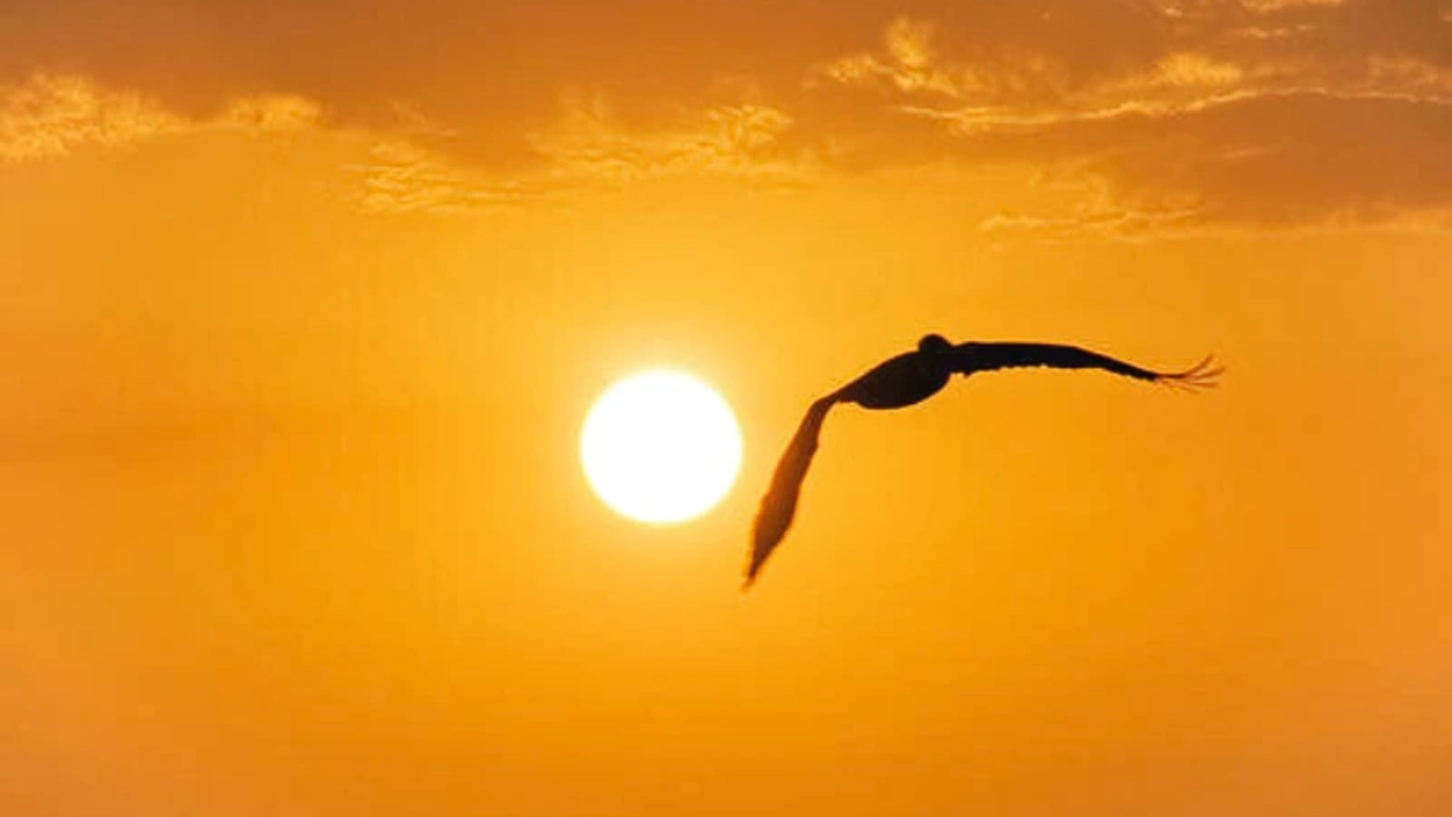 Private Investigator in Clermont, Florida — Emerging Investigations