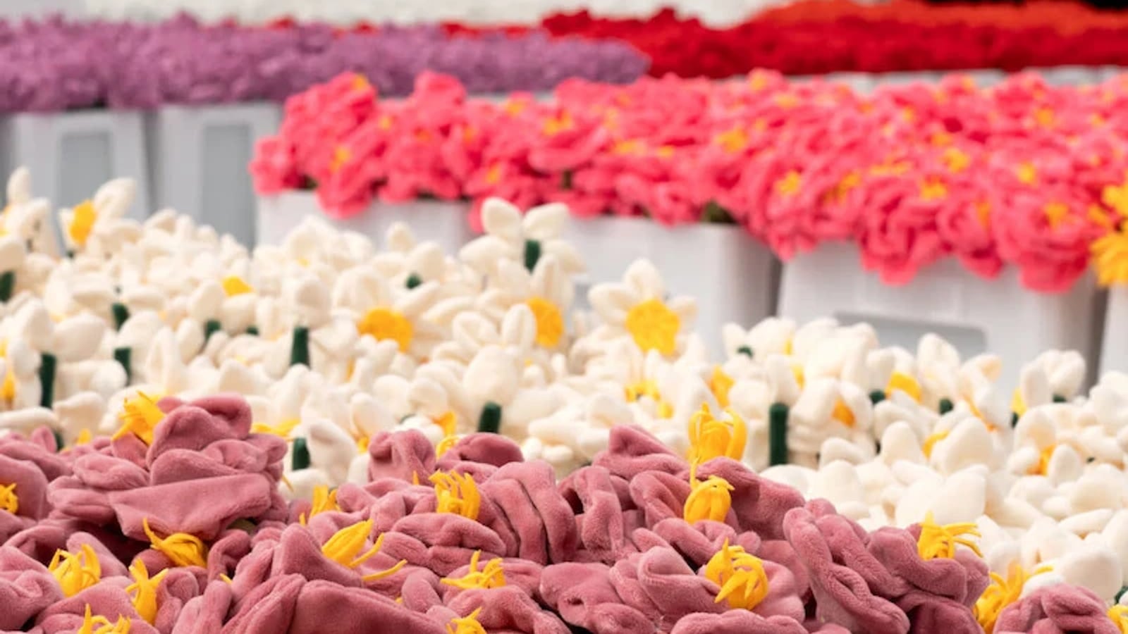 Private Investigator in Kissimmee, Florida — Emerging Investigations