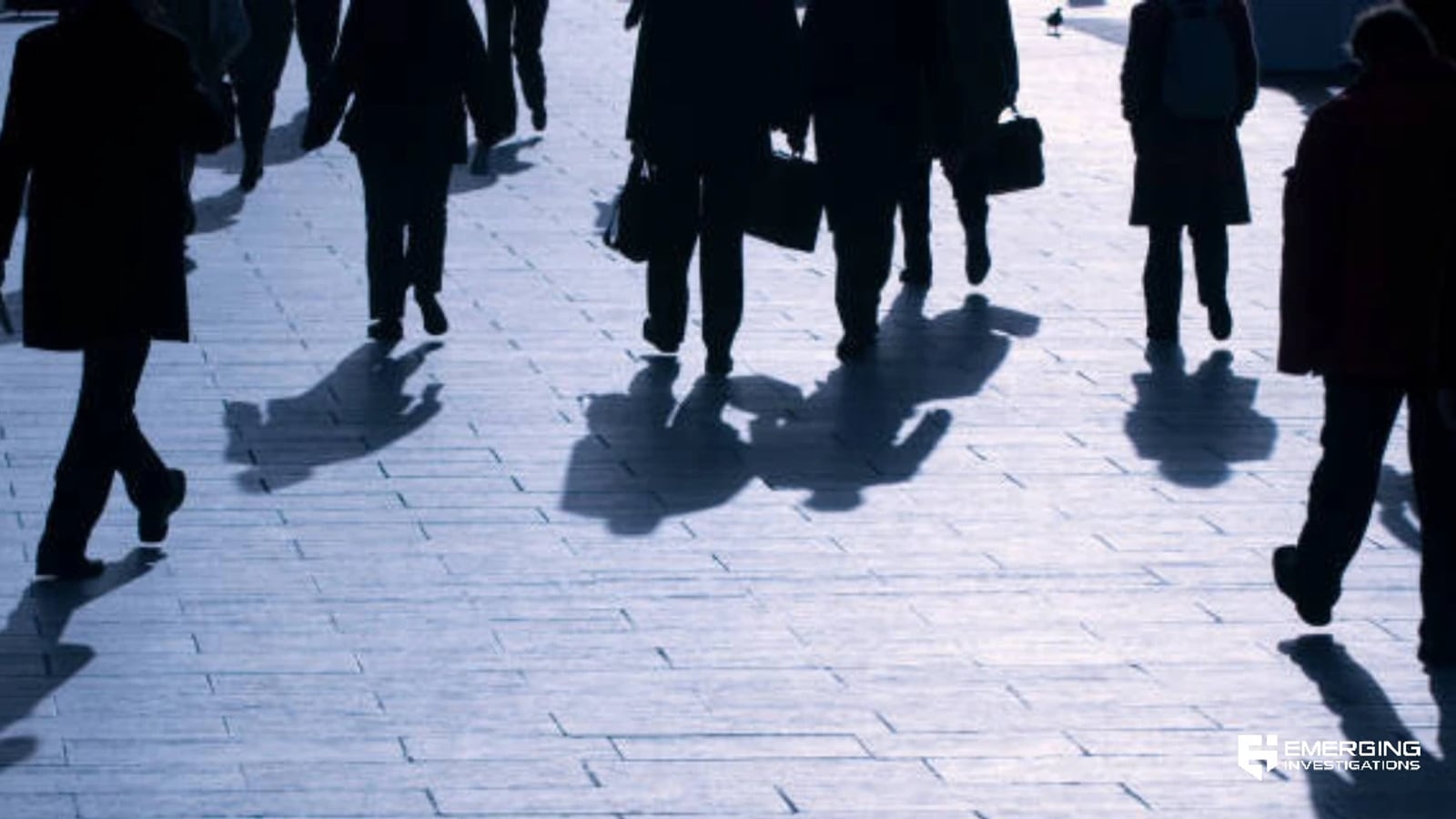 Animal Cruelty Investigations — Emerging Investigations