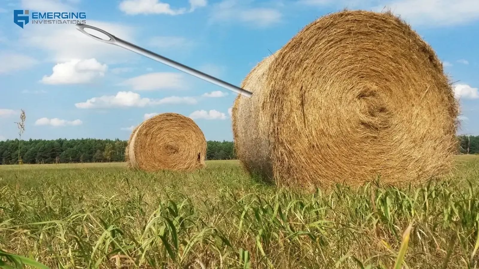 Imposter Scam Investigations in Florida — Emerging Investigations