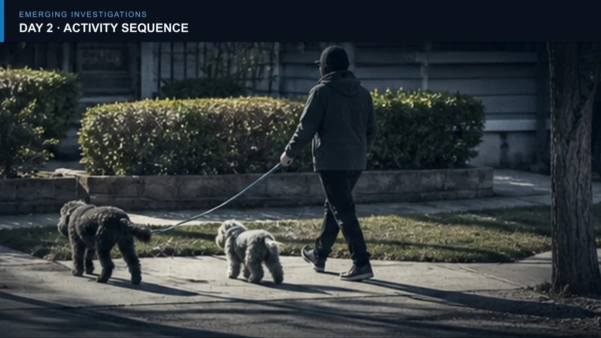 Redacted report sequence showing an adult walking two dogs